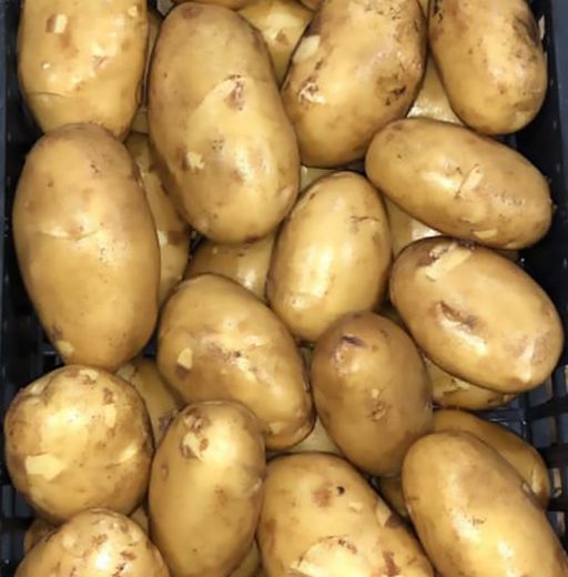 Potato